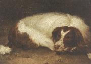Johann Christoph Rincklake A sporting dog lying down oil on canvas